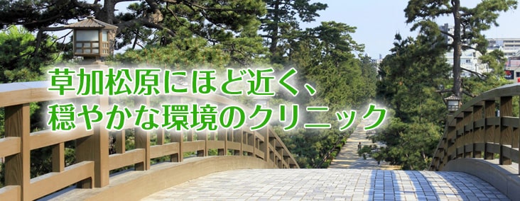 草加葛原にほど近く、穏やかな環境のクリニック