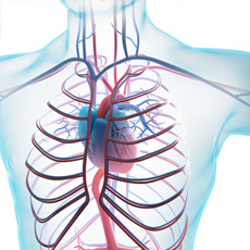 脂質異常症は動脈硬化の危険因子